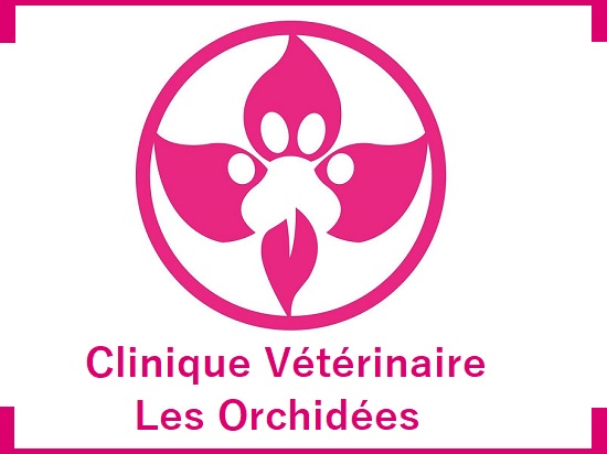 Les orchidées vétérinaire Sahloul / Dr Chahrazad Acheche